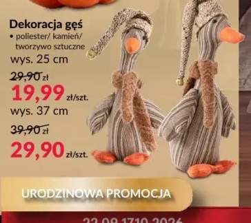 Dekoracja gęś
