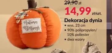 Dekoracja dynia