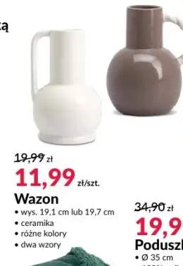 Wazon