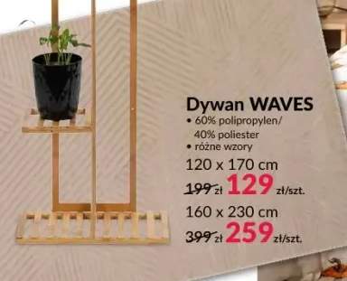 Dywan Waves 120x170 cm +1 wariant