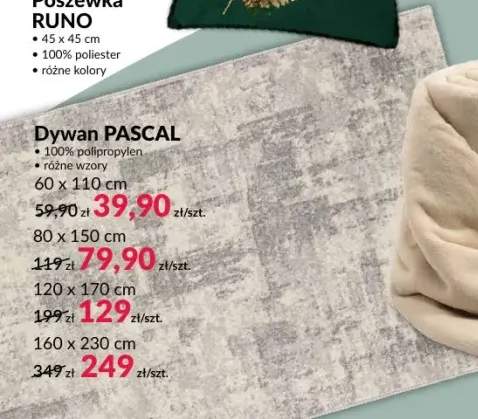 Dywan Pascal 80x150 cm +3 warianty