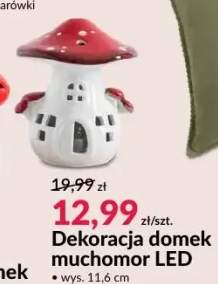 Dekoracja domek muchomor LED