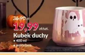 Kubek duchy